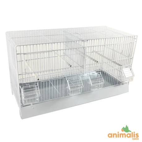 Cage Domus-Molinari 64cm laquée en blanc Cage Domus-Molinari 64cm Laquée En Blanc -Deli Nature Soldes Boutique cage domus molinari 64cm blanche