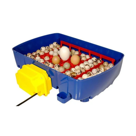Couveuse automatique REAL 24 Couveuse Automatique REAL 24 -Deli Nature Soldes Boutique couveuse automatique real 24 1