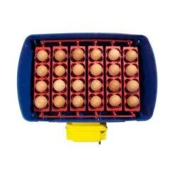 Couveuse Automatique REAL 24 2 Couveuse Automatique REAL 24 -Deli Nature Soldes Boutique couveuse automatique real 24 2