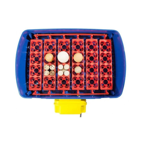 Couveuse automatique REAL 24 Couveuse Automatique REAL 24 -Deli Nature Soldes Boutique couveuse automatique real 24 3