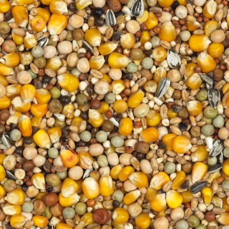 Élevage et sport standard N°19 - 25kg - Vanrobaeys Élevage Et Sport Standard N°19 - 25kg - Vanrobaeys -Deli Nature Soldes Boutique elevage et sport standard n°19 25kg vanrobaeys