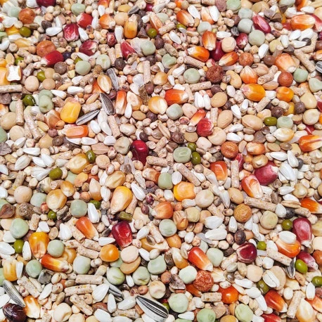 Élevage pro Revolution 20kg - Numéro 58 - Vanrobaeys Élevage Pro Revolution 20kg - Numéro 58 - Vanrobaeys -Deli Nature Soldes Boutique elevage pro revolution 20kg numero 58 vanrobaeys