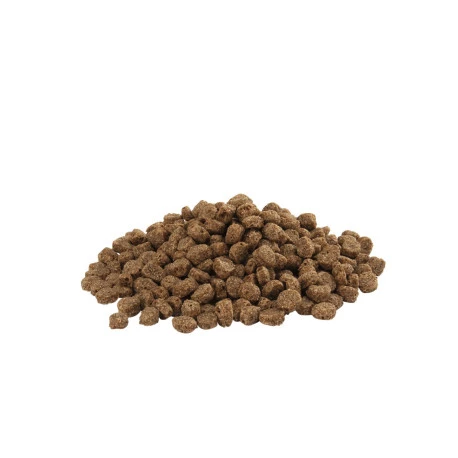 Floating Allround 15kg VERSELE-LAGA Floating Allround 15kg -Deli Nature Soldes Boutique floating allround 15kg 1