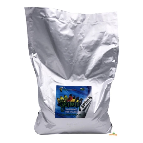 Germix Tarins 4kg Germix Tarins 4kg -Deli Nature Soldes Boutique germix tarins 500gr