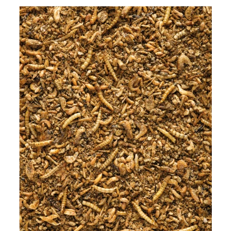 Insect Patee Premium 500g - Aliment Complet Pour Tous Les Insectivores VERSELE-LAGA Insect Patee Premium 500g - Aliment Complet Pour Tous Les Insectivores -Deli Nature Soldes Boutique insect patee premium 500g aliment complet pour tous les insectivores 1