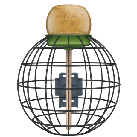 Mangeoire Lona "Voerkooi V2" - Vert - 20x20cm Mangeoire Lona "Voerkooi V2" - Vert - 20x20cm -Deli Nature Soldes Boutique mangeoire lona voerkooi v2 vert