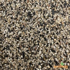 Mélange De Graines Pour Tarins Américains Et Européens 15kg - Hoebre -Deli Nature Soldes Boutique melange de graines pour tarins americains et europeens 15kg 2