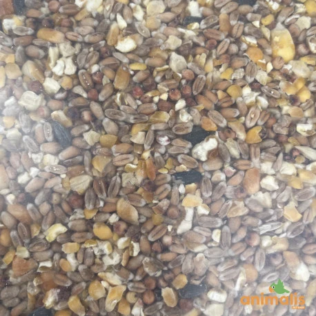 Mélange de graines concassées pour poules 25kg - Animalis Mélange De Graines Concassées Pour Poules 25kg - Animalis -Deli Nature Soldes Boutique melange pour poules 25kg 2