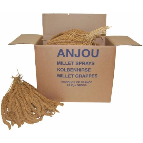 Millet jaune en grappe 16 kg Millet Jaune En Grappe 16 Kg -Deli Nature Soldes Boutique millet jaune en grappe 17 kg