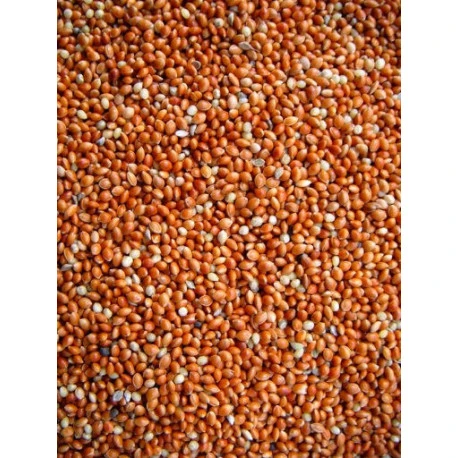 Millet Rouge 20kg Millet Rouge 20kg -Deli Nature Soldes Boutique millet rouge 20kg