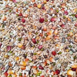 Mue Pro Revolution 20kg - Numéro 55 - Vanrobaeys