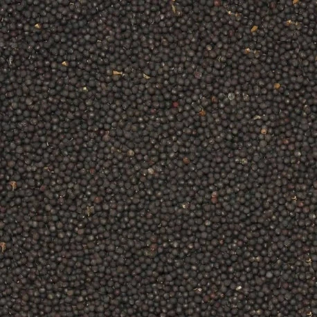 Navette 20kg Navette 20kg -Deli Nature Soldes Boutique navette 20kg