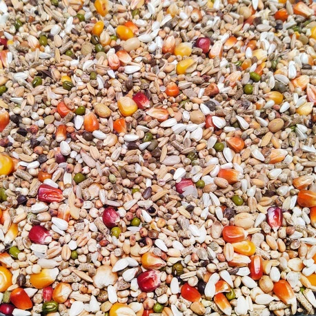 Sport Ultra Pro Revolution 20kg - Numéro 53 - Vanrobaeys Sport Ultra Pro Revolution 20kg - Numéro 53 - Vanrobaeys -Deli Nature Soldes Boutique sport ultra pro revolution 20kg numero 53 vanrobaeys