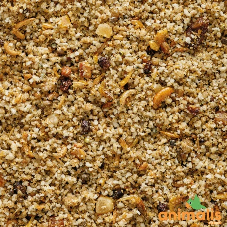 Uni Pâtée 5kg - Aliment Complet Pour Les Petits Frugivores Et Insectivores VERSELE-LAGA Uni Pâtée 5kg - Aliment Complet Pour Les Petits Frugivores Et Insectivores -Deli Nature Soldes Boutique uni patee 5kg aliment complet pour les petits frugivores et insectivores 1